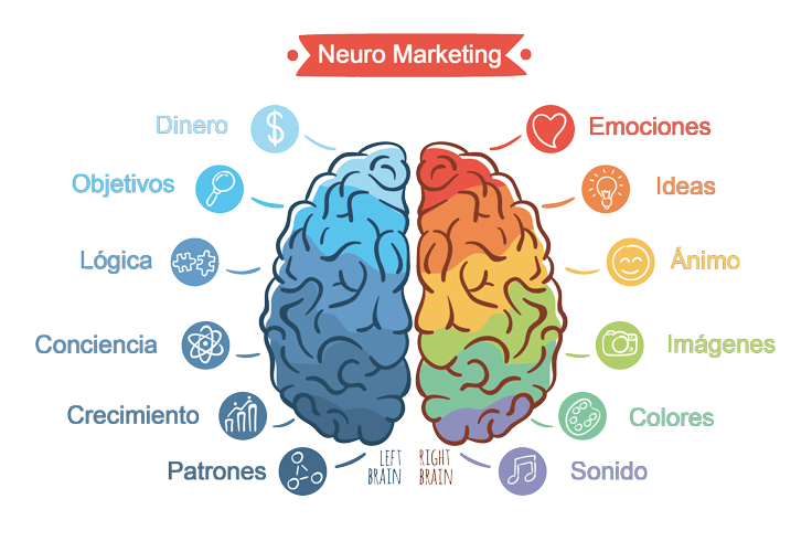 neuromarketing